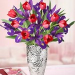 lots of love tulip