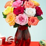 rainbow roses Save Big Money on all Types of Flower Arrangements at ProFlowers
