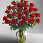 roses 2